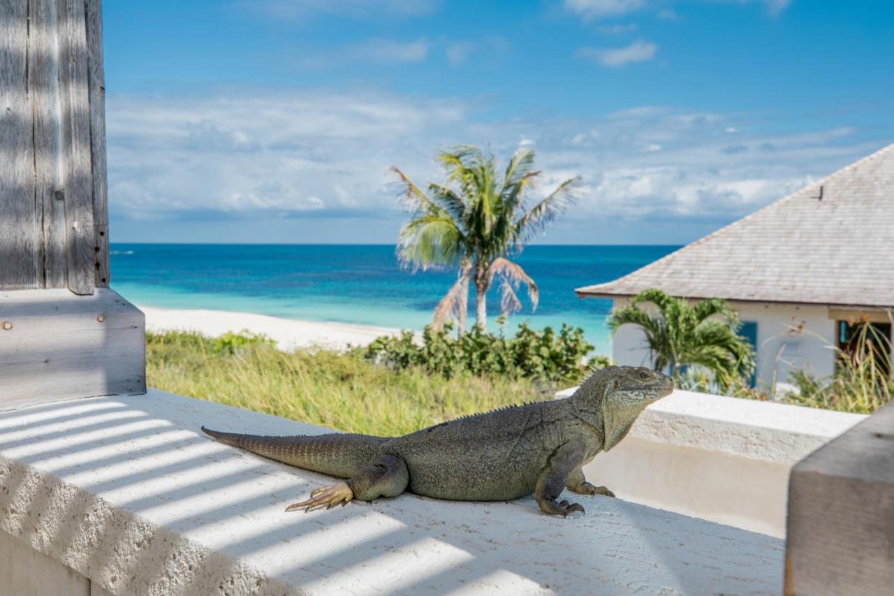 Ambergris Cay Private Island All Inclusive - Pls Island Hopper Flight Included Big Ambergris Cay Екстер'єр фото