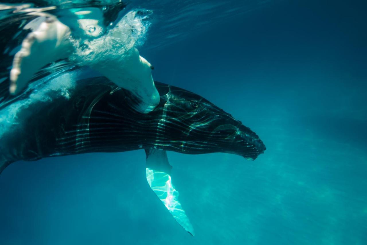 Ambergris Cay Private Island All Inclusive - Pls Island Hopper Flight Included Big Ambergris Cay Екстер'єр фото